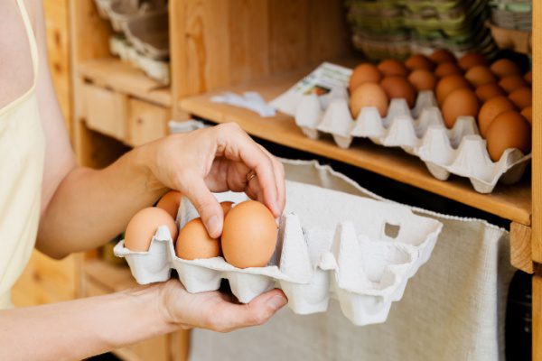 Commercialisation des œufs : précisions pour le marché français