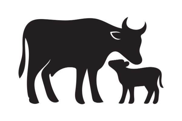 Secteur agricole : le point sur les aides en juin 2026