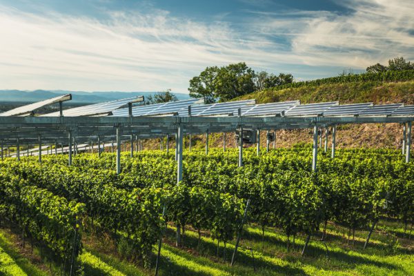 Simplification de la vie économique : faciliter l’innovation industrielle