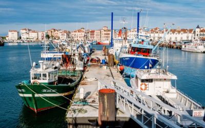 Retour de pêche : des obligations déclaratives à respecter